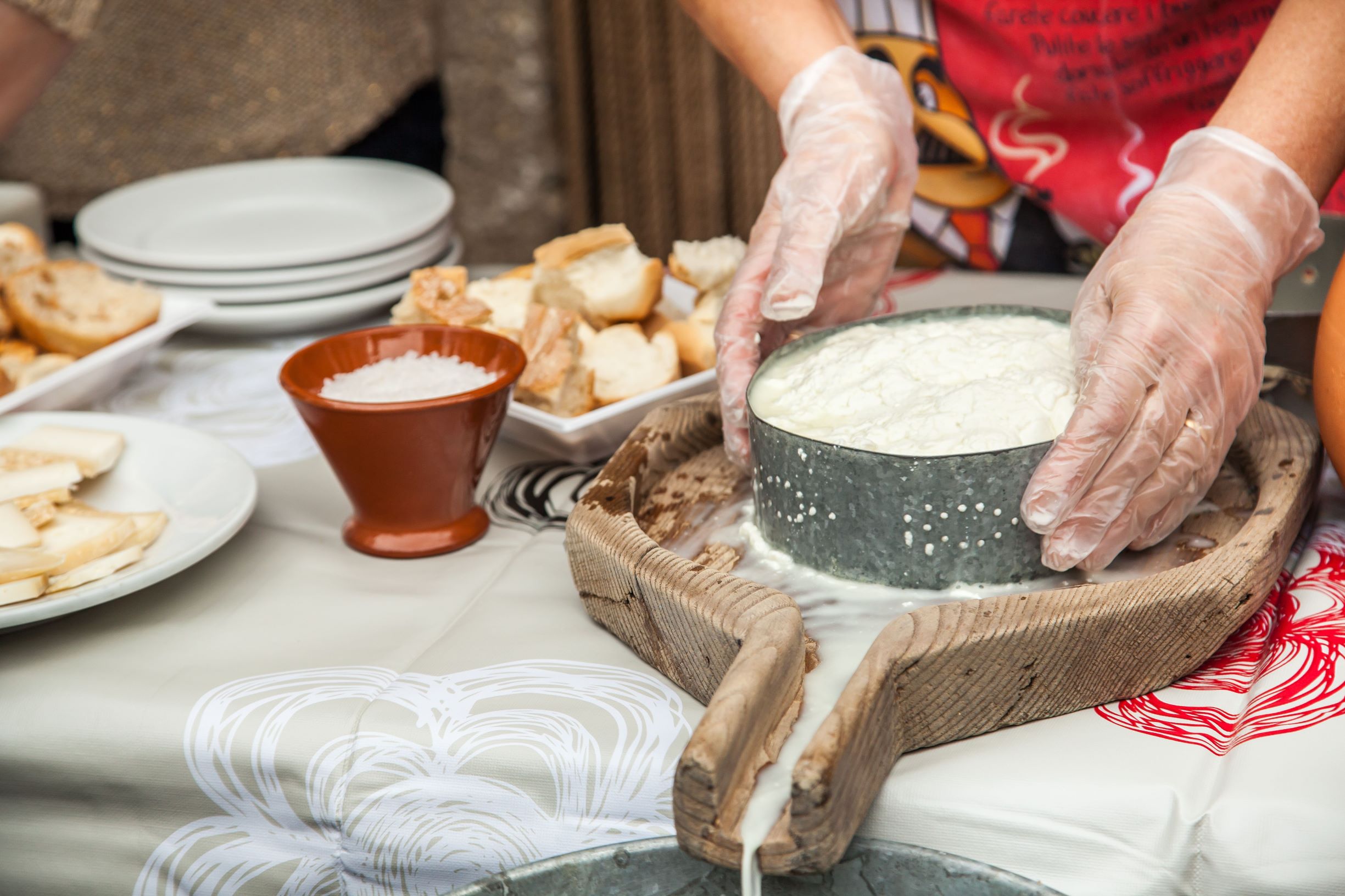 Fiesta de la Transhumancia