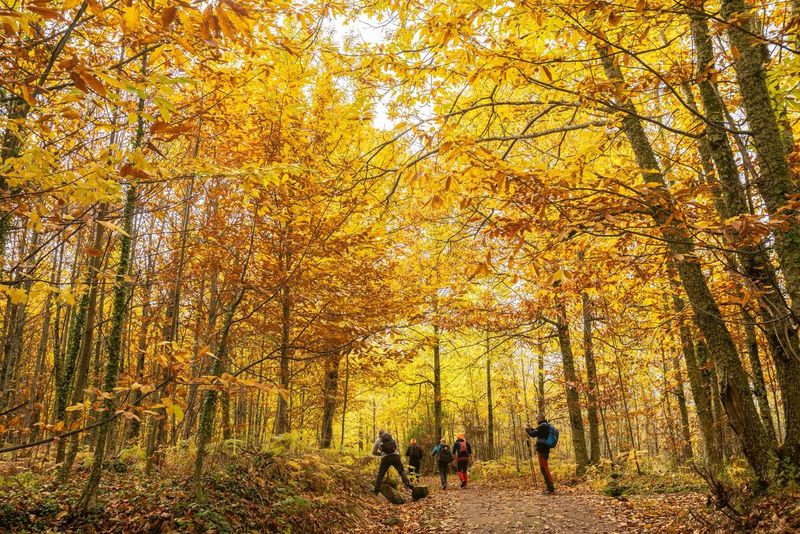  /.content/Frankfurt/imagenes/2024/10-Oktober-2024/EXTREMADURA/OTONO-AMBROZ/Marcha-Senderista-VALLEAMBROZ.jpeg Marcha Senderista 