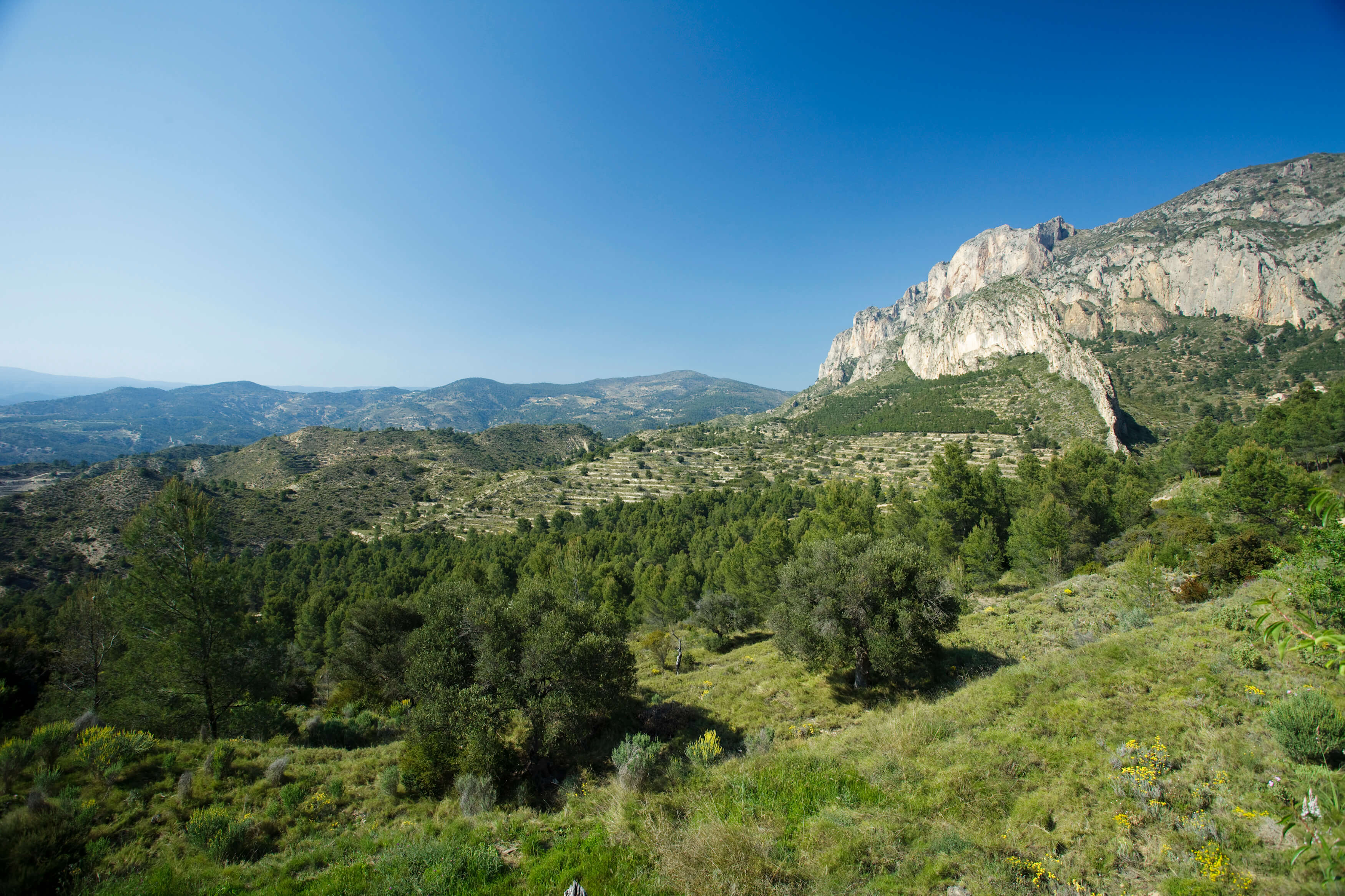 Busot mit dem Pico del Cabezón de Oro in der Provinz Alicante