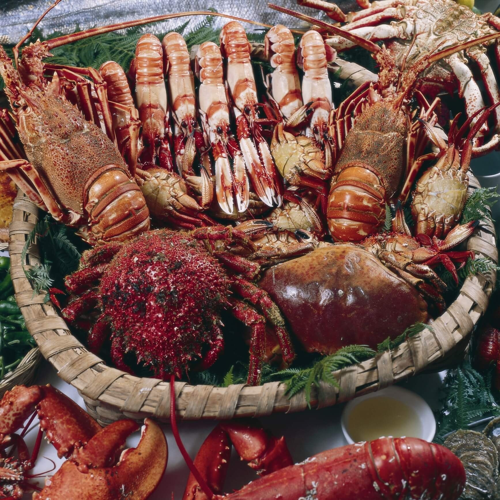 Meeresfrüchte aus Galicien