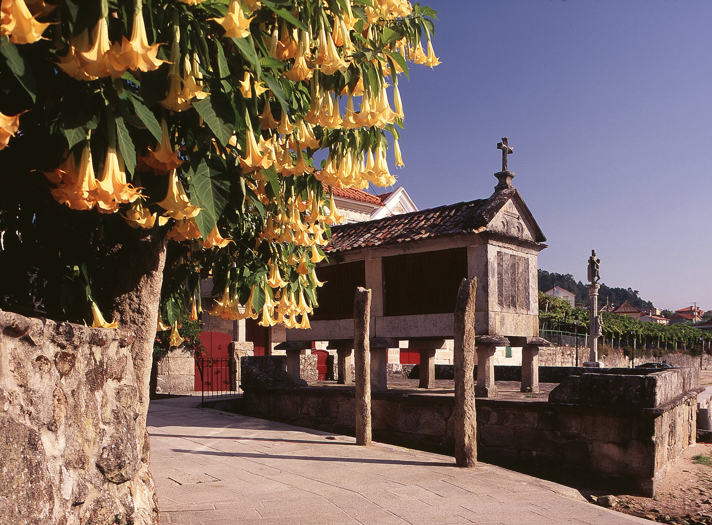 Einer der typischen Horreos (Kornspeicher) in Combarro