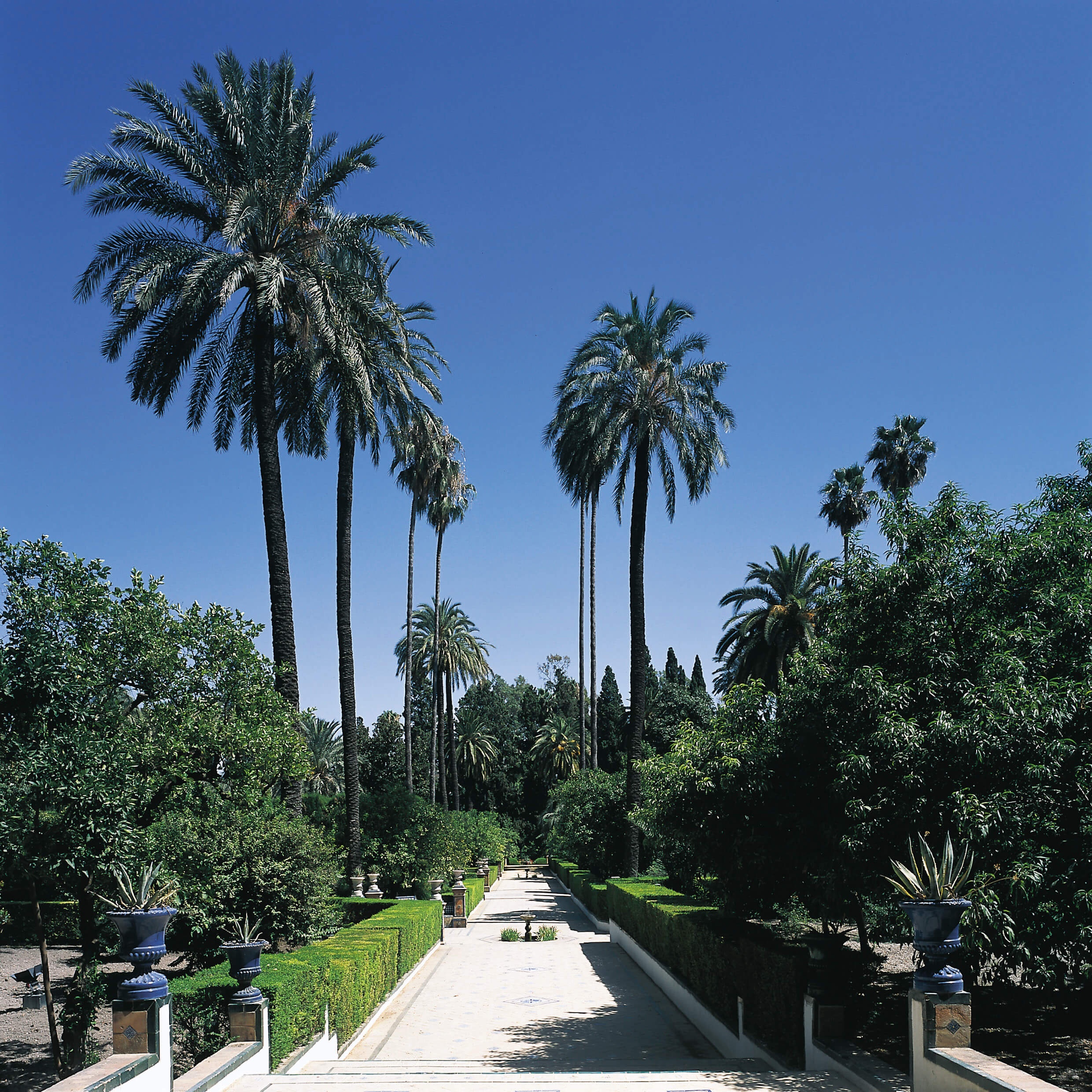Sevilla-Real Alcázar-Jardín del Marqués de la Vega