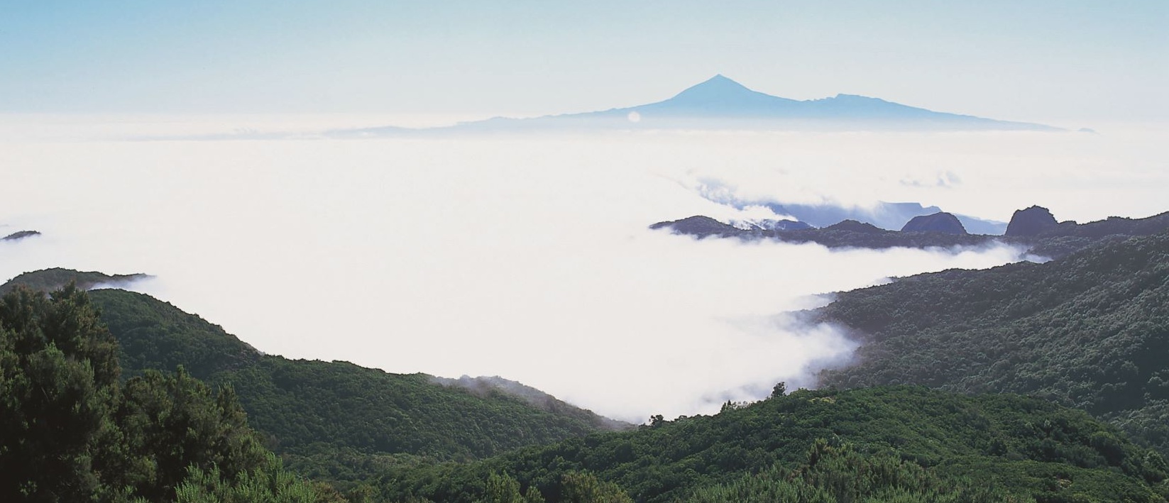 Blick über die Passatwolken: Der Garajonay Nationalpark auf La Gomera Blick über die Passatwolken: Der Garajonay Nationalpark auf La Gomera