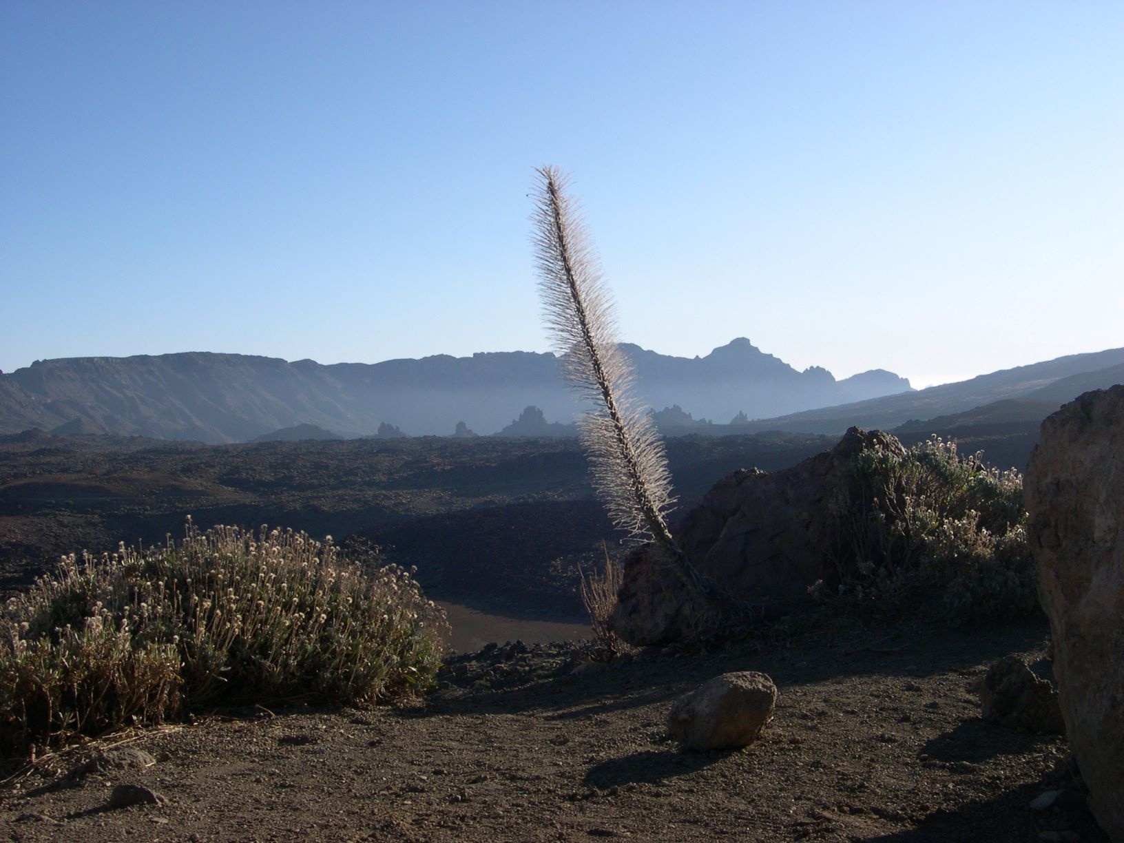 Fruchtbare Vulkanerde in den Nationalparks der Kanarischen Inseln. Fruchtbare Vulkanerde in den Nationalparks der Kanarischen Inseln.