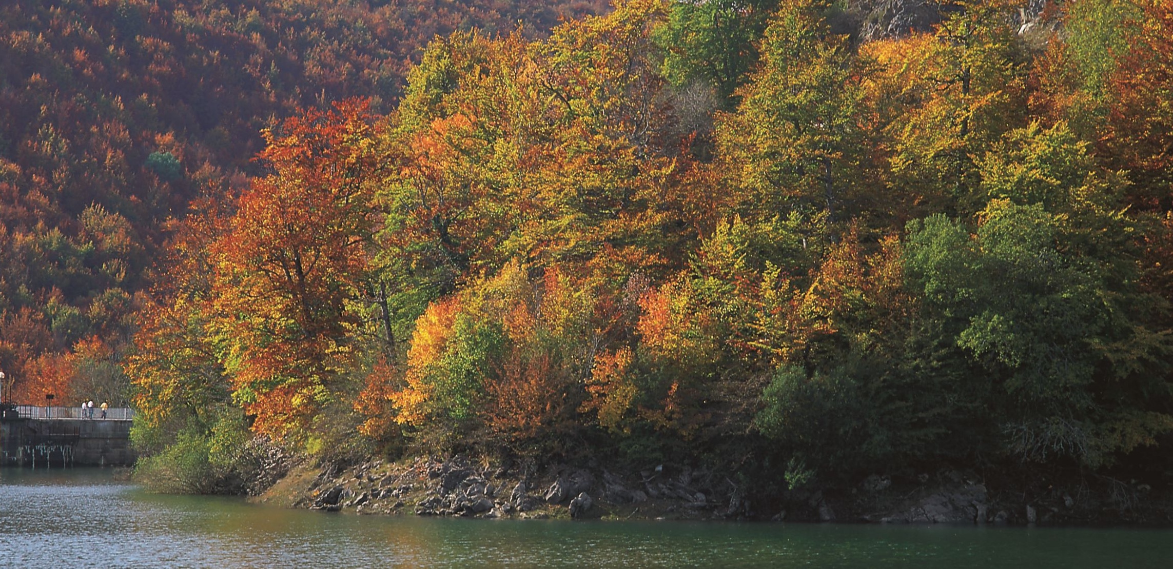 Ochagavía - Selva de Irati und Stausee Irabia