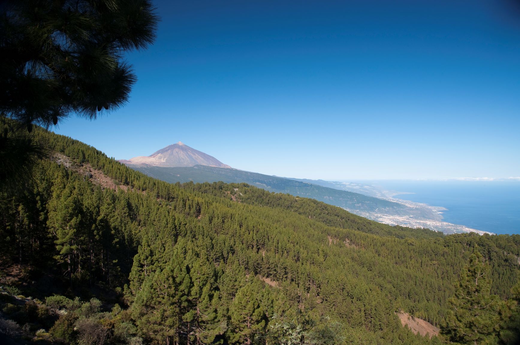 Naturpark Corona Forestal und El Teide
