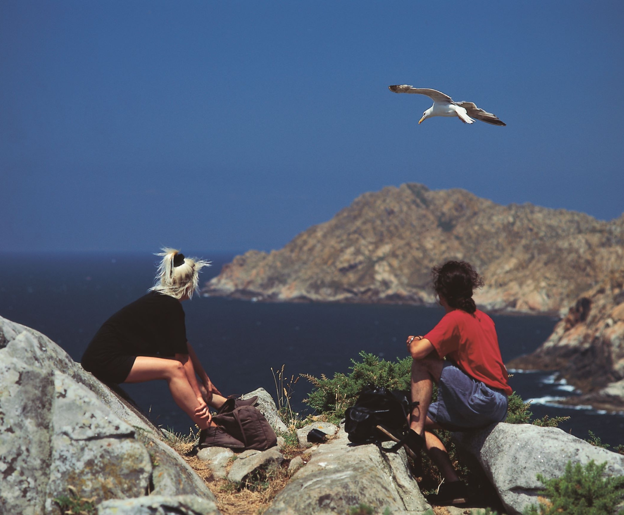 Auf den Cíes Inseln, Provinz Pontevedra, Galicien