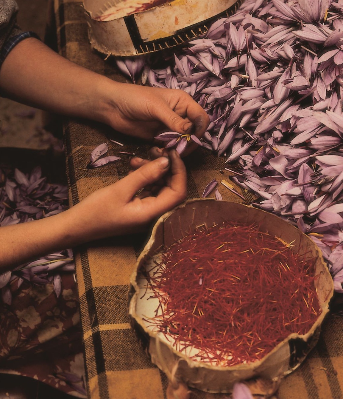 Campillo de Altobuey, Safran