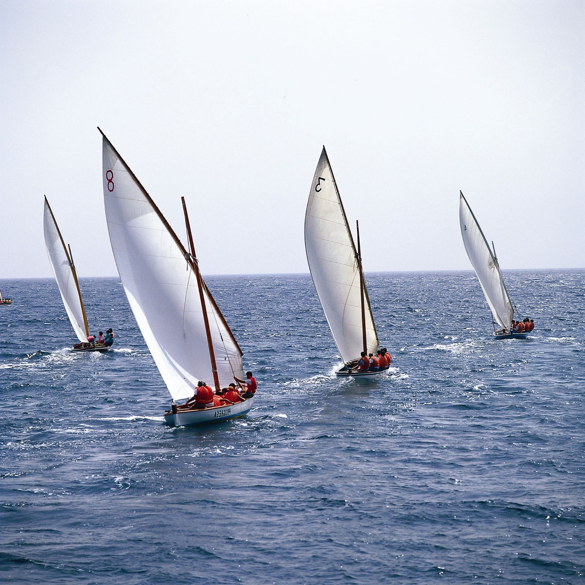 Segelregatta in Lanzarote Segelregatta in Lanzarote