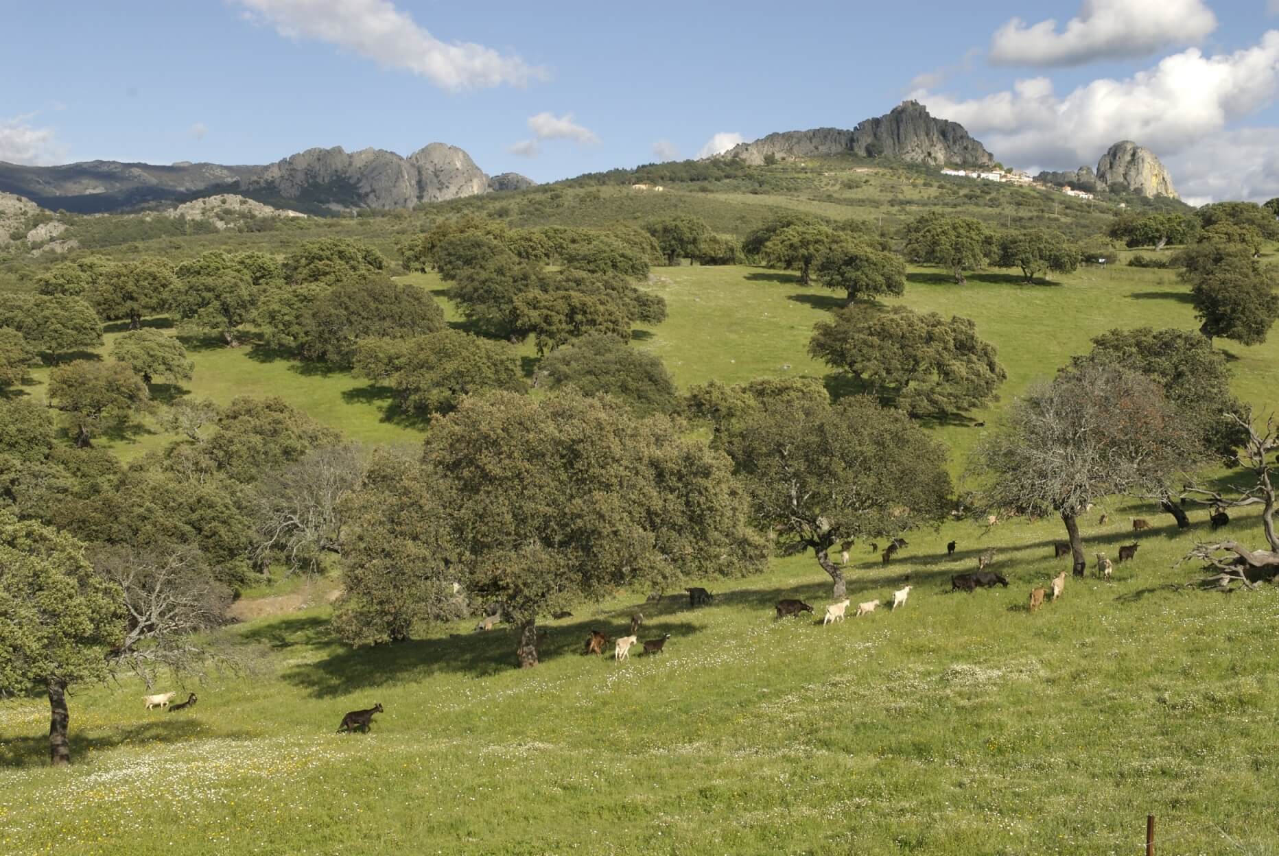 Logrosán-Serranía de las Villuercas (Landschaft)-