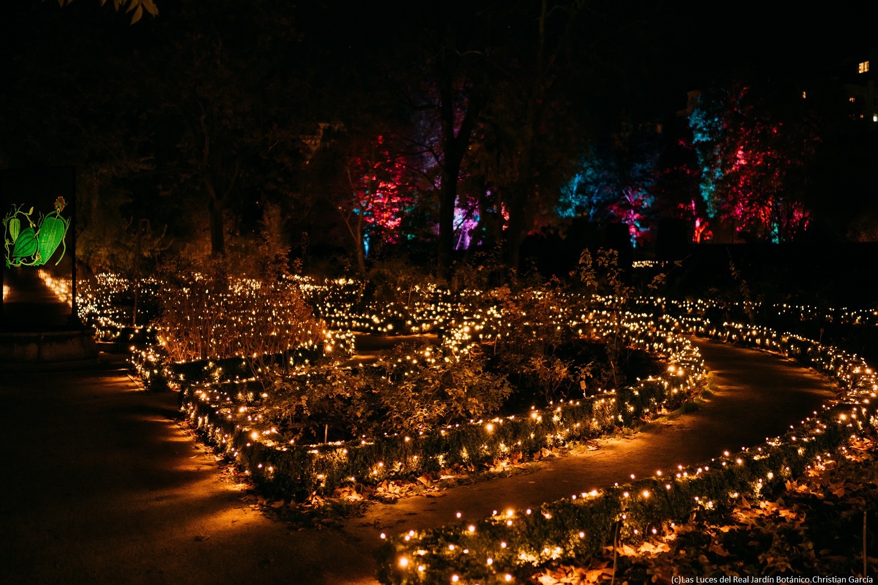 Die Lichter des Real Jardín Botánico
