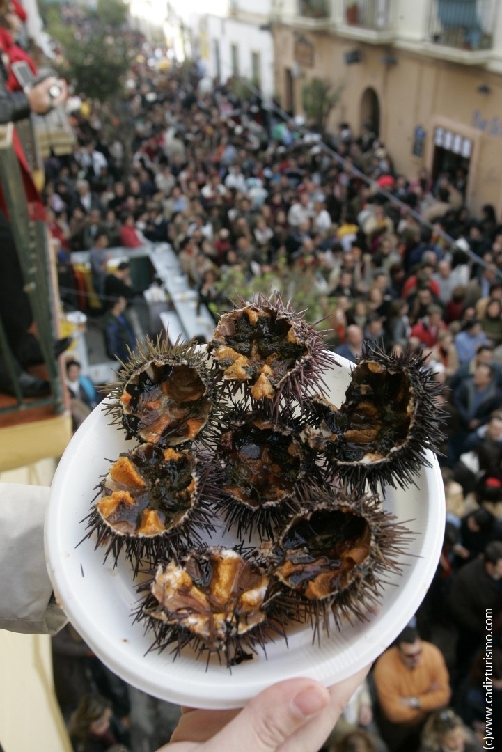 Erizada de Cádiz