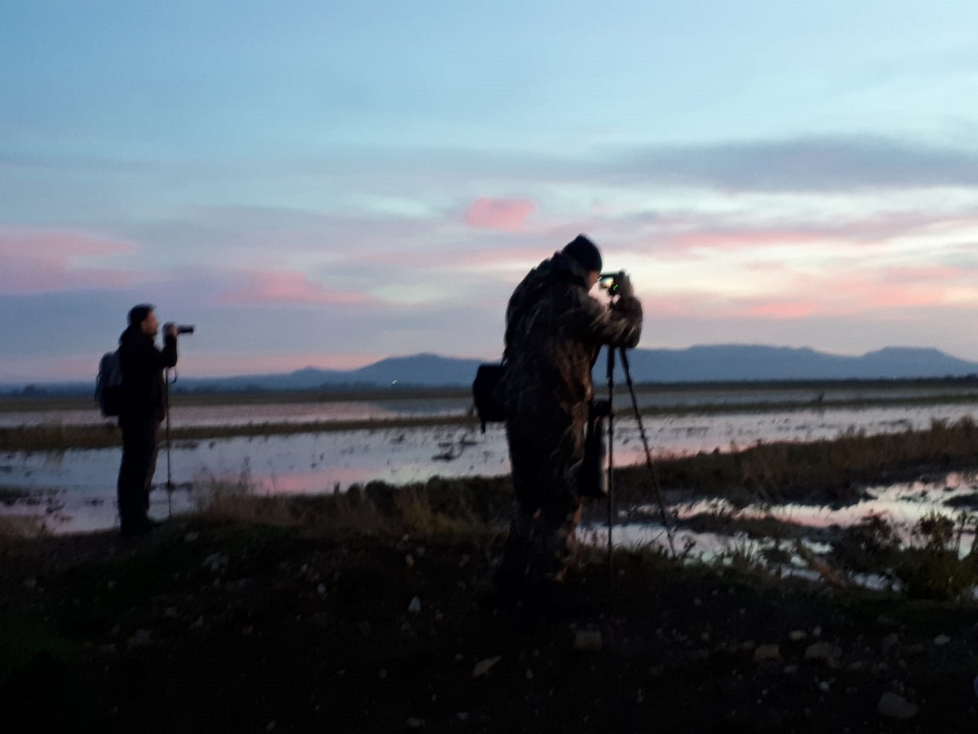 Vogelbeobachter im Naturpark Moheda Alta