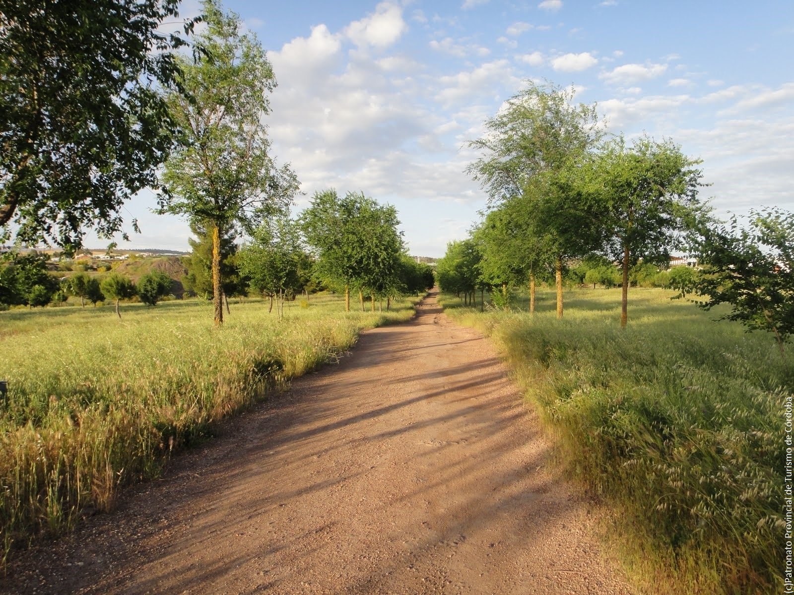 Via Verde Maquinilla Via Verde Maquinilla