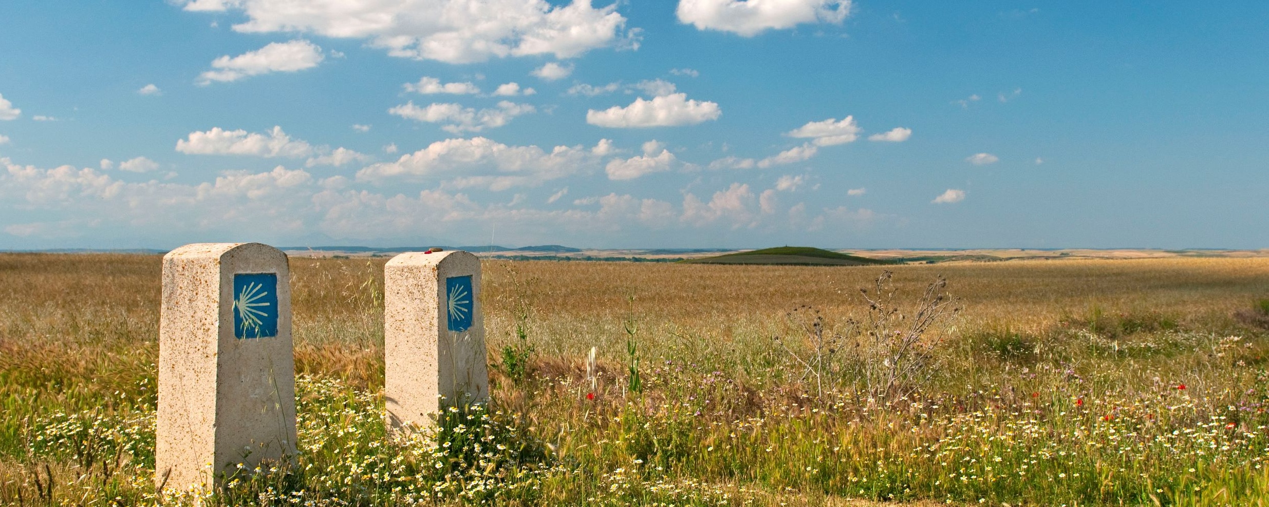 Camino_Burgos-Leon_Landschaft