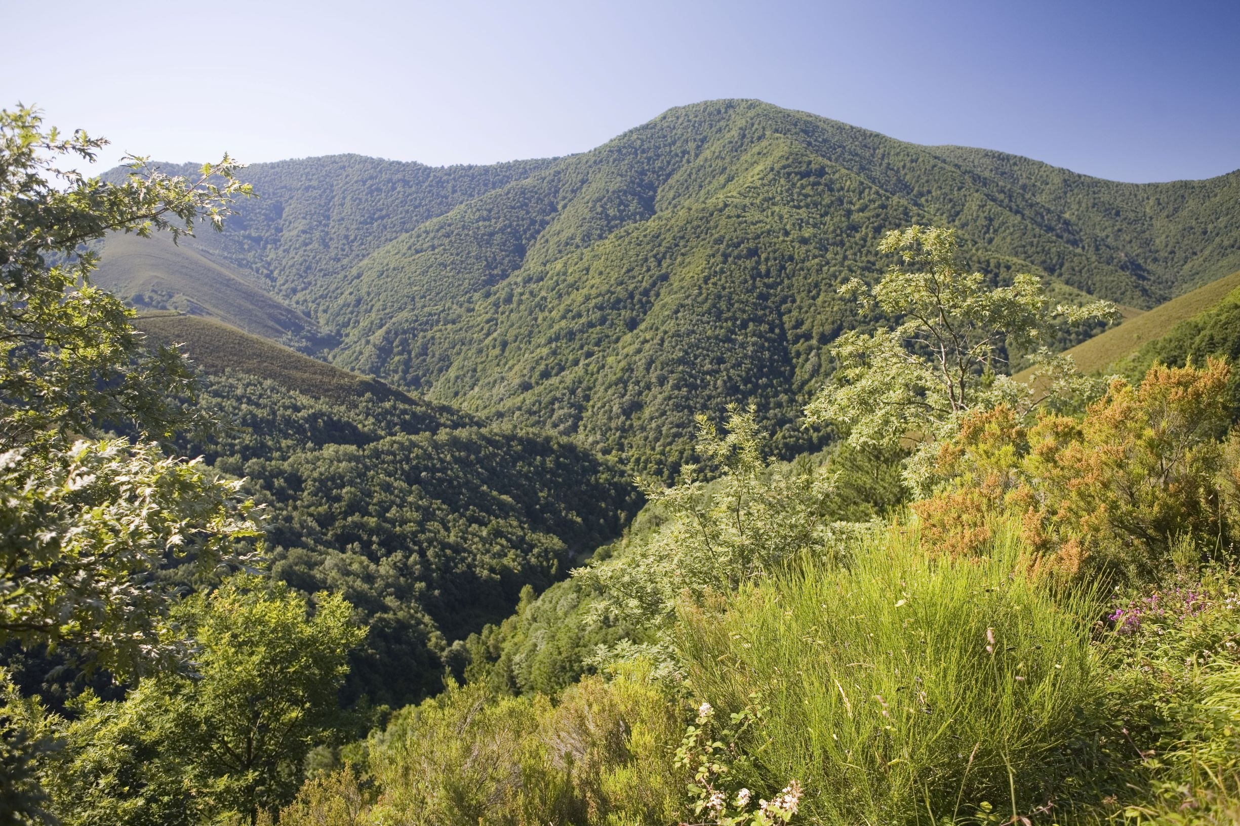 Die Natur Asturiens begeistert PIlger und Wanderer auf dem Camino Primitivo Die Natur Asturiens begeistert PIlger und Wanderer auf dem Camino Primitivo