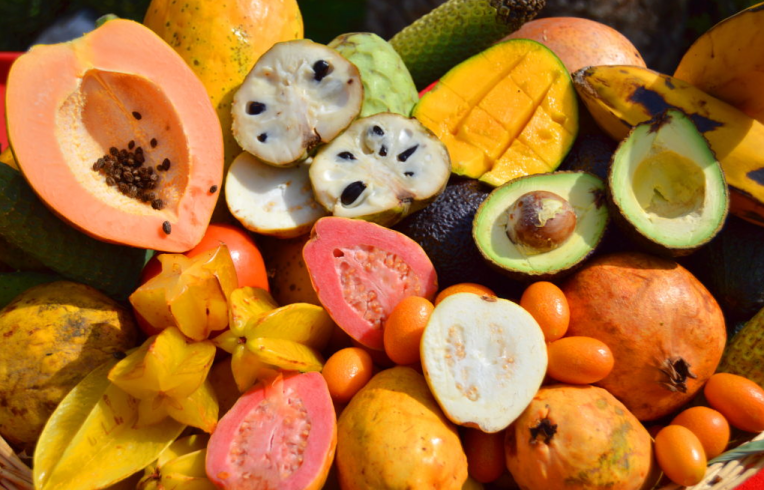 SALOBREÑA - Finca San Ramón ©mit freundlicher Genehmigung von Turismo Salobreña 