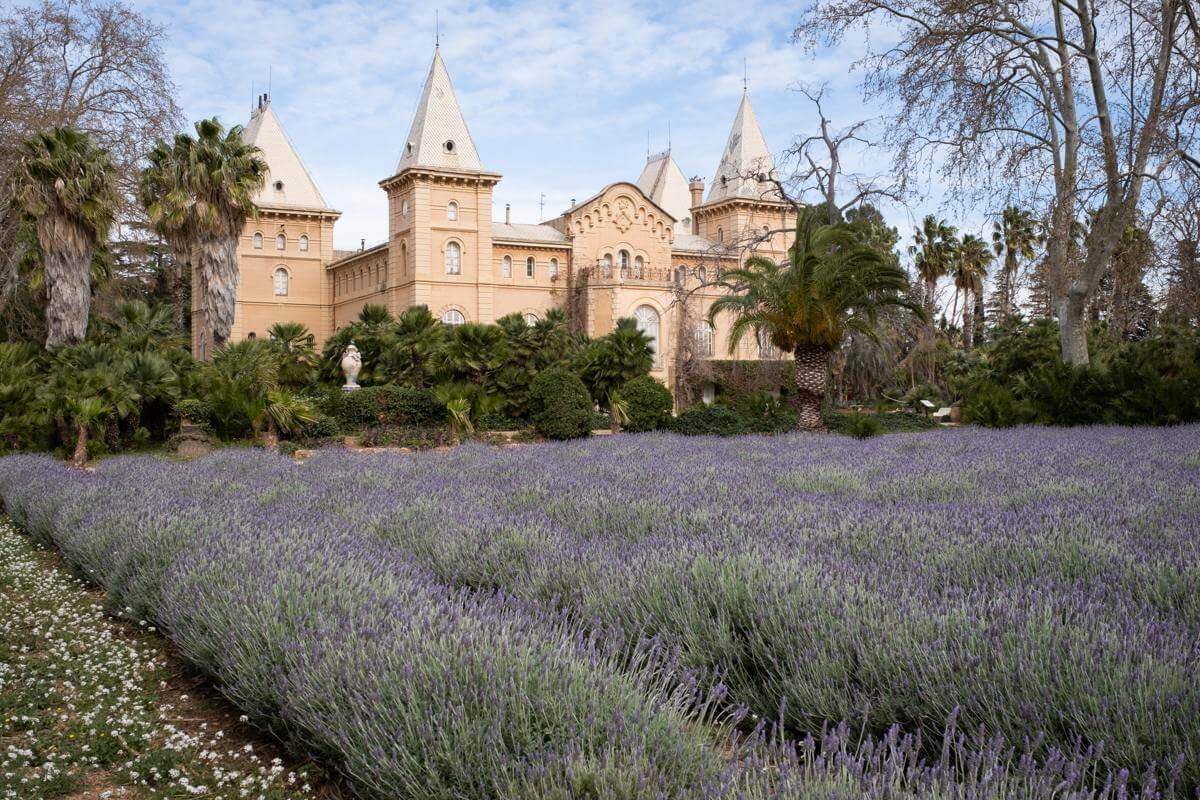 Der Palast des Marques inmitten von blühendem Lavendel