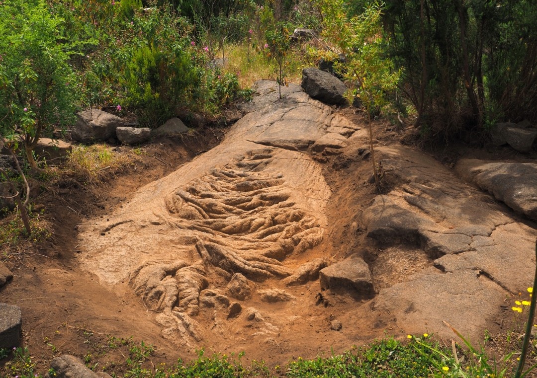 Finca_CuevaDelViento