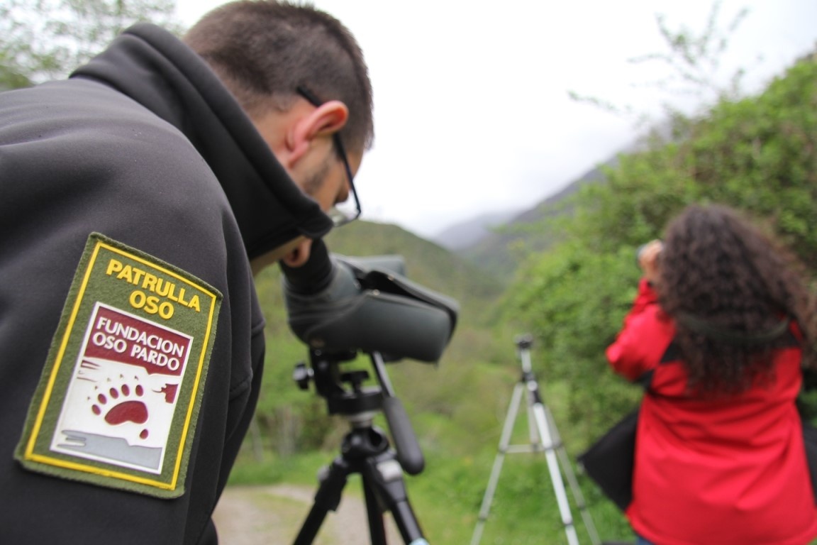 Bärenbeobachtung in Asturien