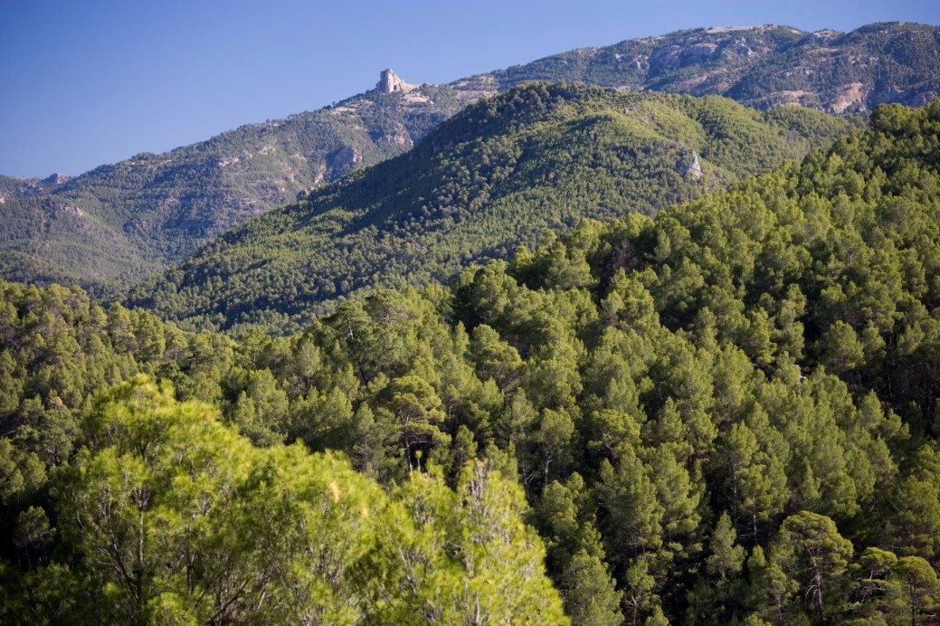 Naturpark Sierras de Cazorla, Segura y Las Villas
