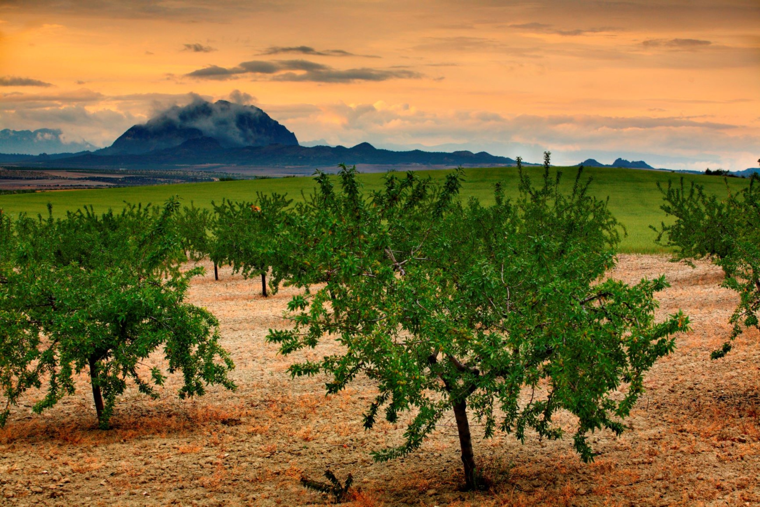 Cieza-Pico Almorchón