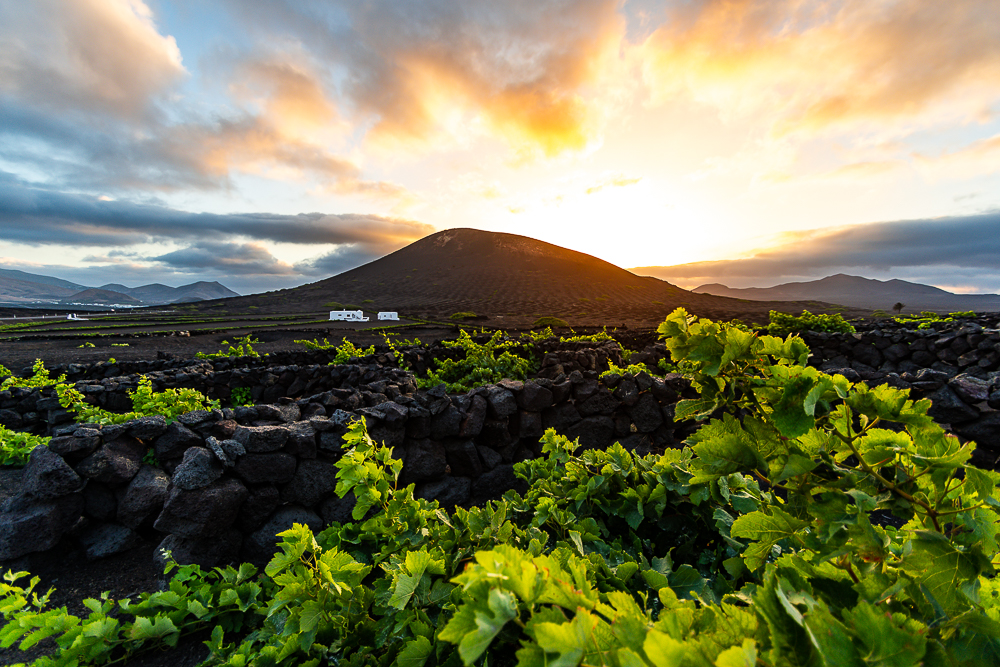 Atardecer-en-La-Geria