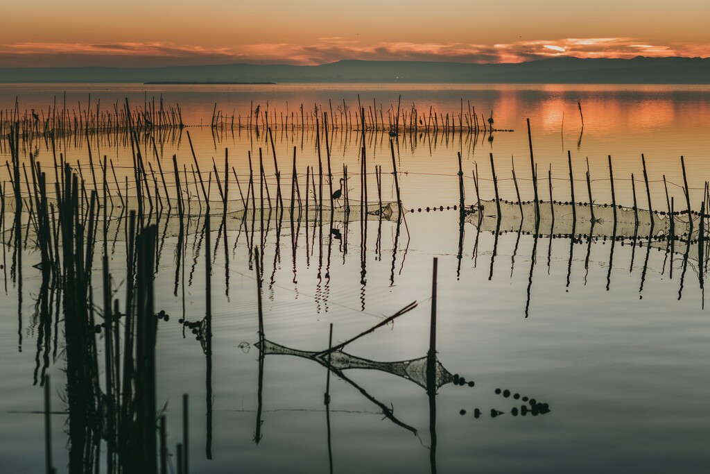 Puesta de sol Albufera Valencia