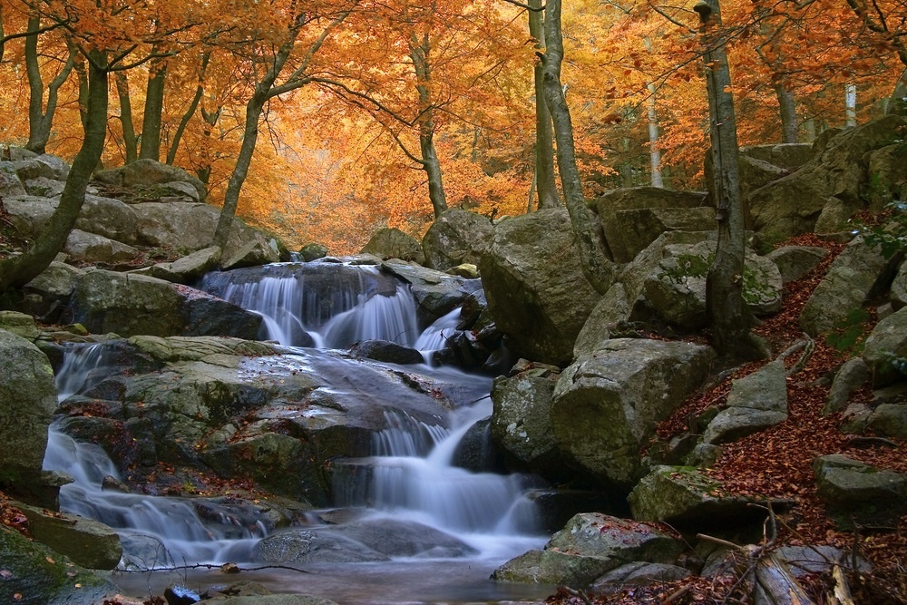 Ideal für die Herbstwanderung: Das Biosphärenreservat Montseny