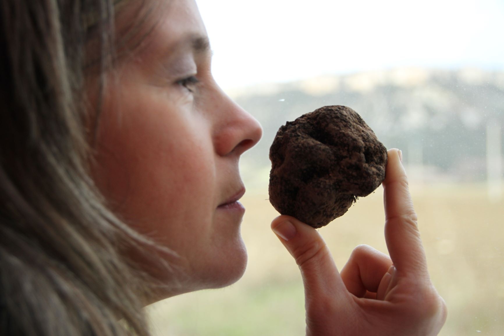 Erdiger Geruch, intensiver Geschmack: Der "Schwarze Diamant" unter den Pilzen