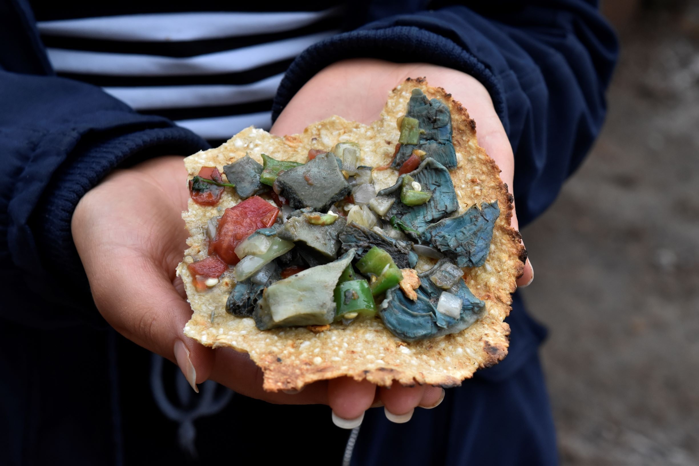 Pilzspezialitäten findet man im Herbst in Soria