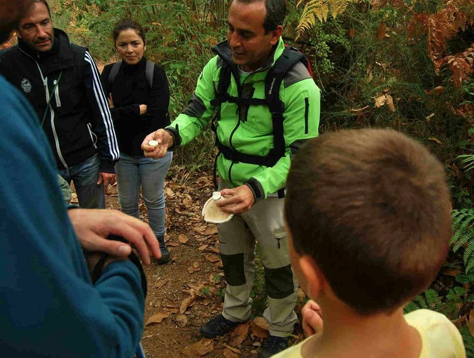 Auf Pilztour in der Sierra de Aracena