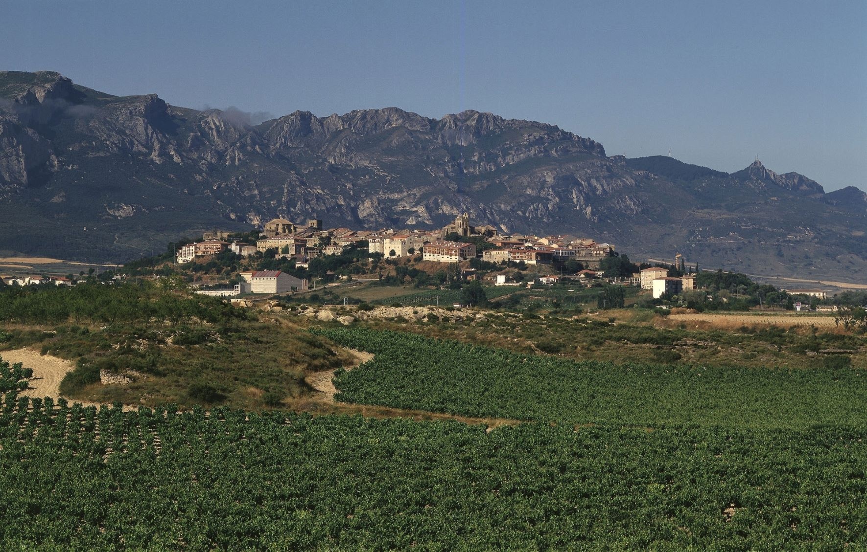 Blick auf Laguardia in der Rioja Alavesa