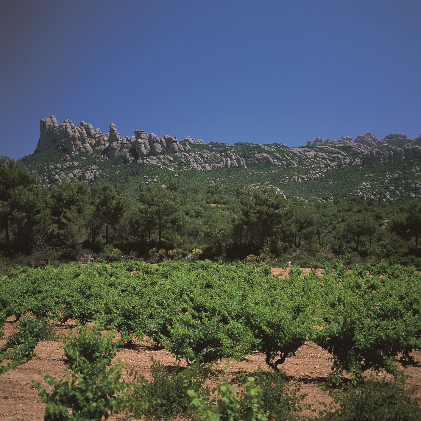 Immer den Berg vor Augen. Auf dem Weg nach Montserrat