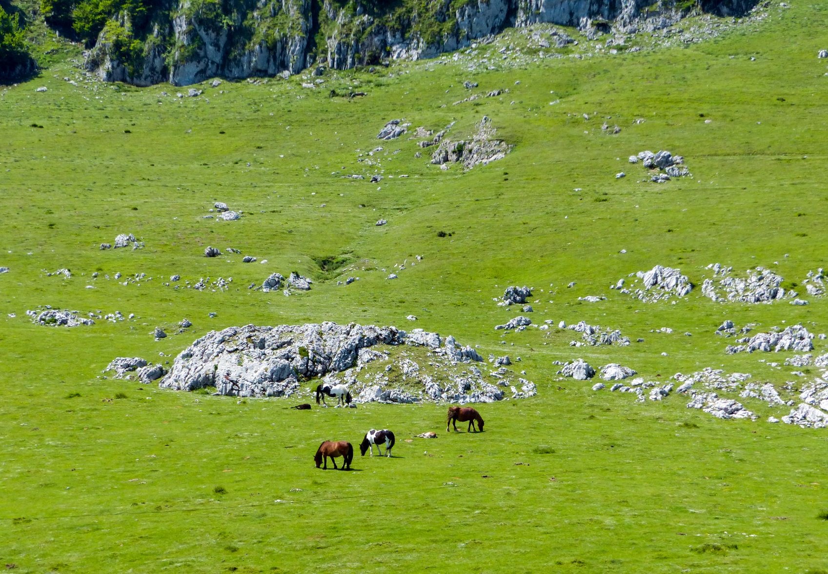 Im Naturpark von Aizkorri-Araz