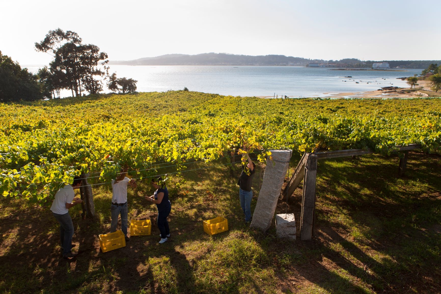 Ruta Vino Rias Baixas Ruta Vino Rias Baixas
