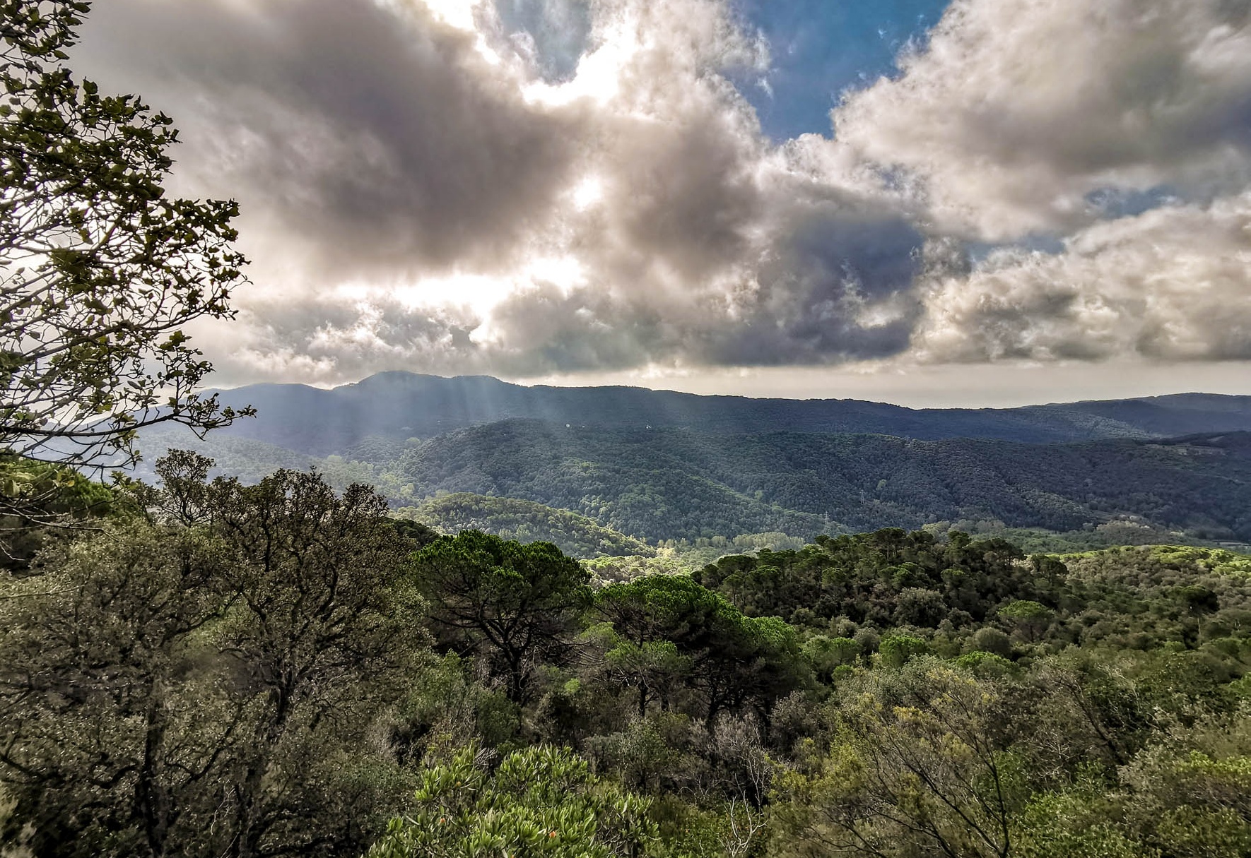 Parc del Corredor i el Montnegre