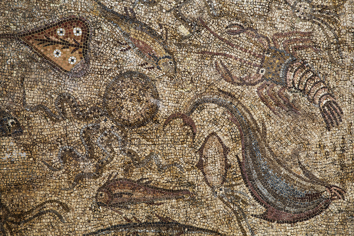 06-TARRAGONA-Museu Arqueologia (mosaic peixos)
