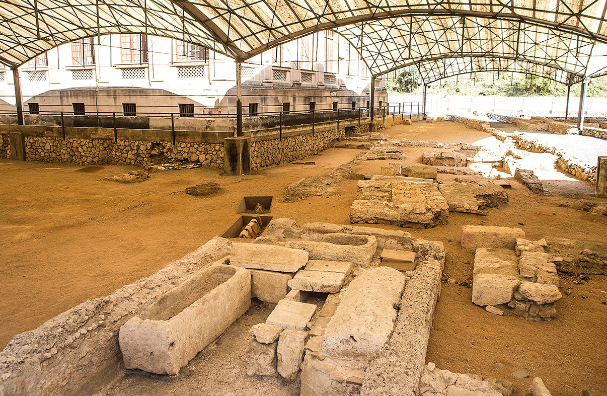 TARRAGONA-Museu Arqueologia (mosaic peixos)