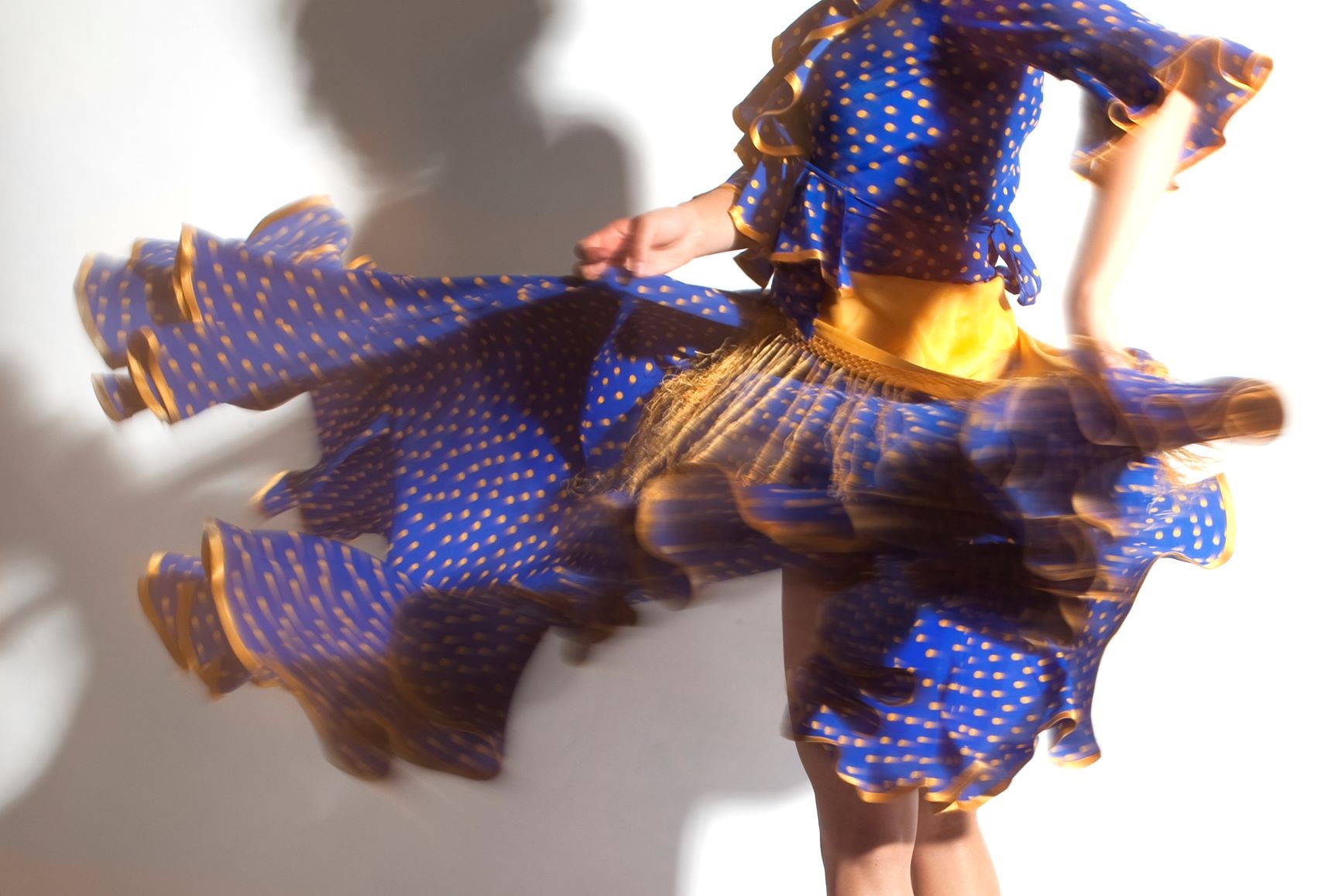 Flamenco satt im Sommer und Herbst 2024