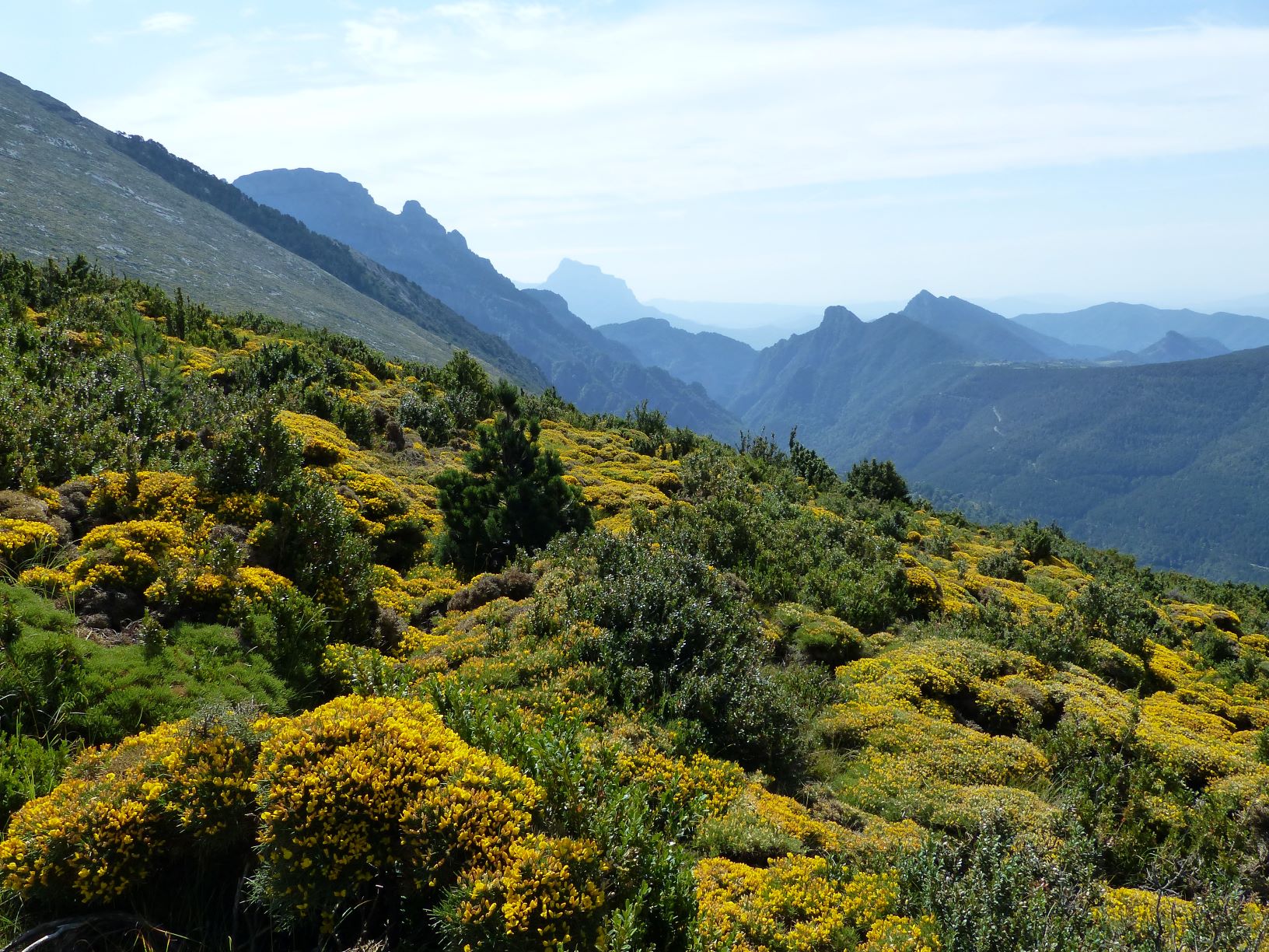 Die Pyrenäen Aragoniens im Sommer