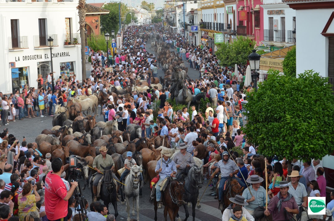 Saca-de-las-Yeguas-Almonte