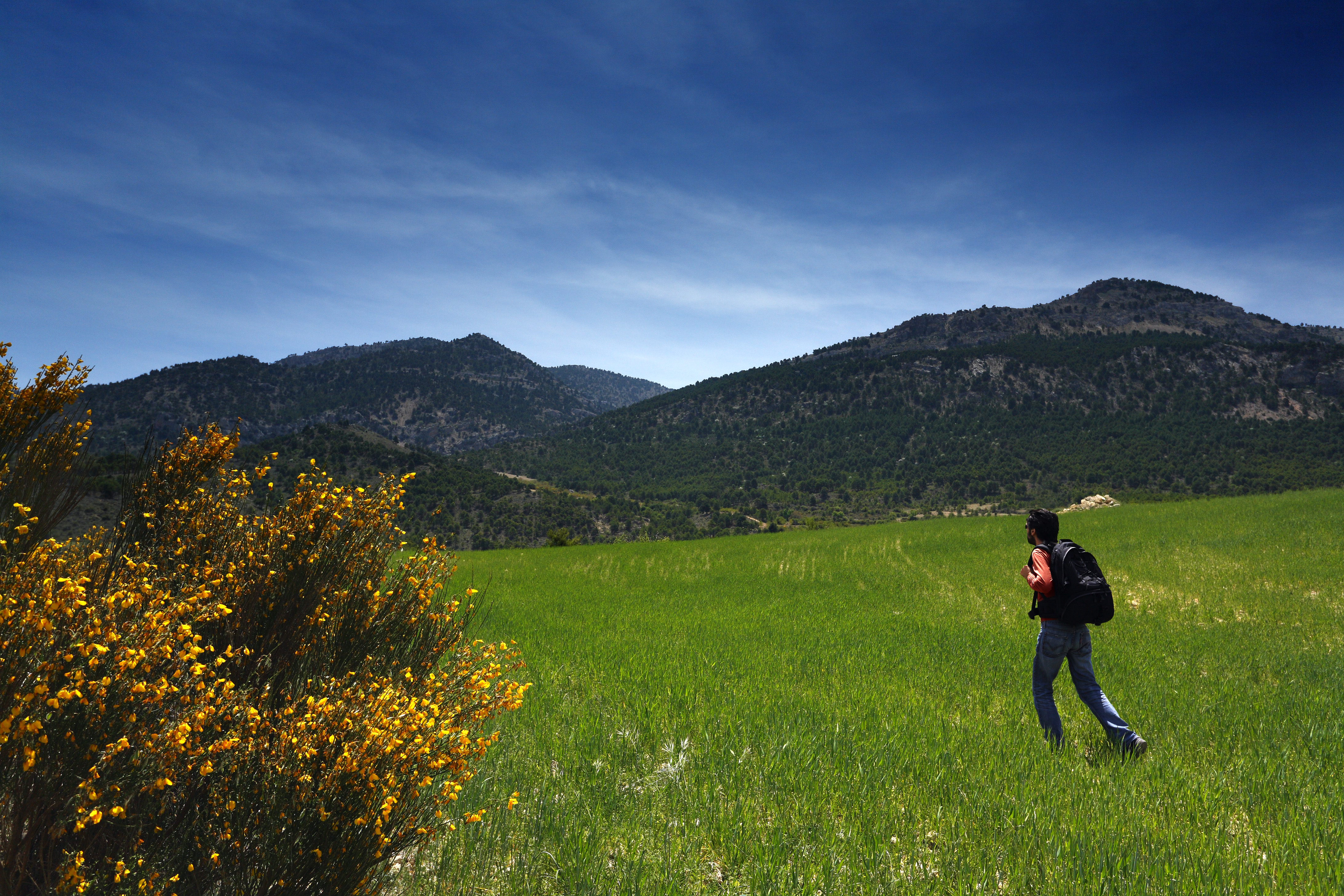 Moratalla-Pico Revolcadore