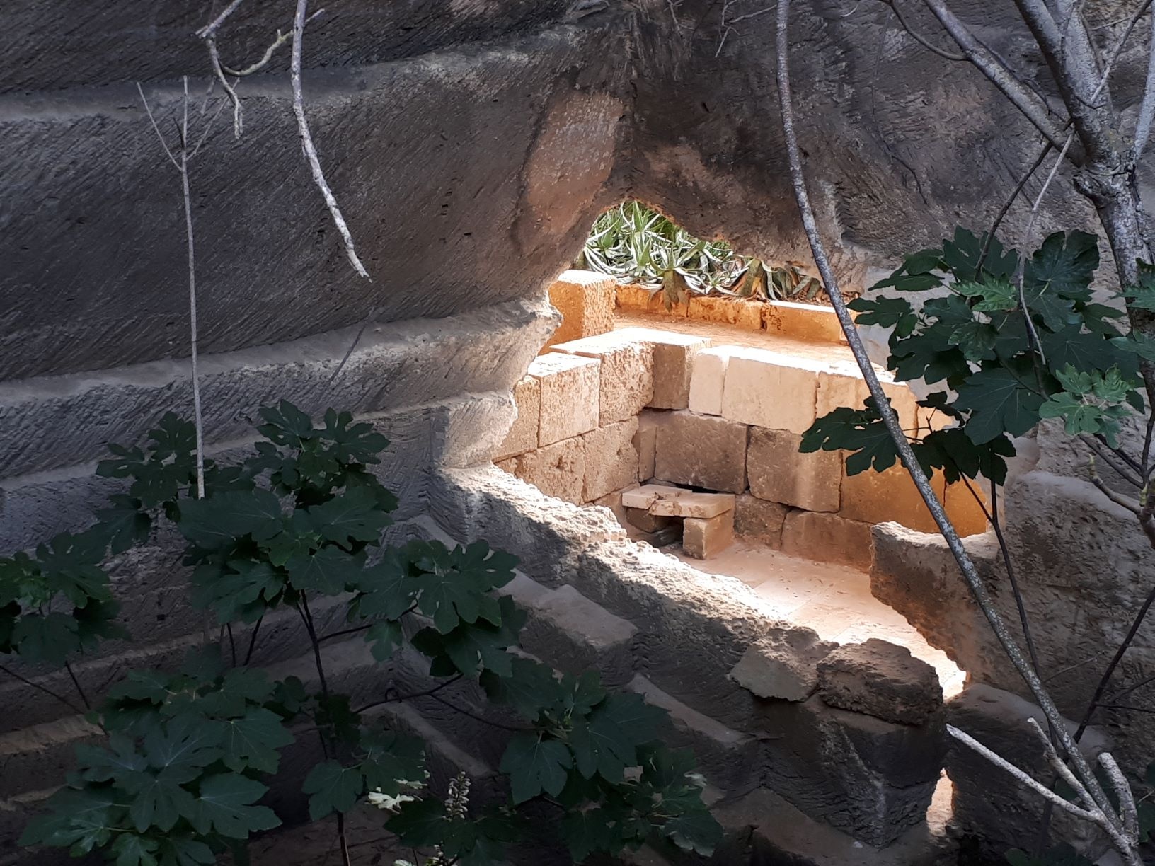 Licht und Pflanzen schaffen eine besondere Atmosphäre im alten Steinbruch Pedreres de S´Hostal