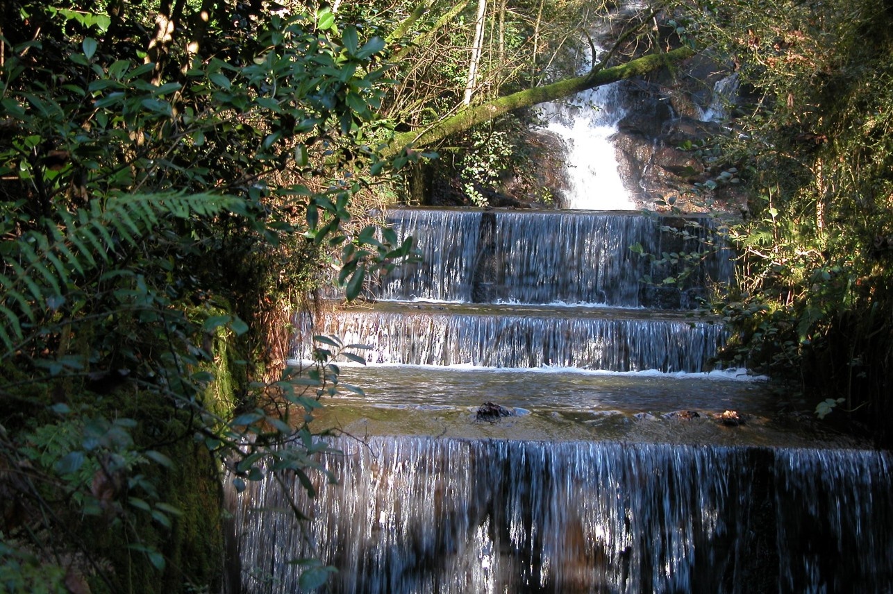 4 Pazo de Santa Cruz de Ribadulla 