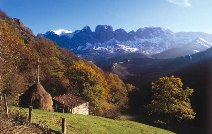 Durch die herrliche grüne Natur Asturiens führt die Vía Verde Senda del Oso, der Bärenpfad