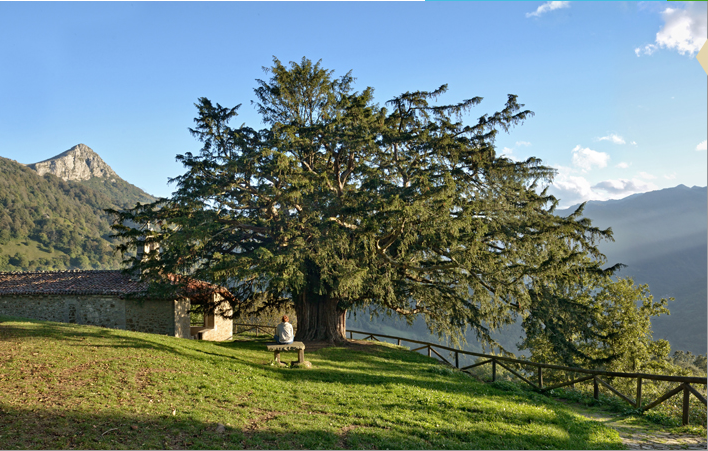 Auf der Vía Verde Senda del Oso