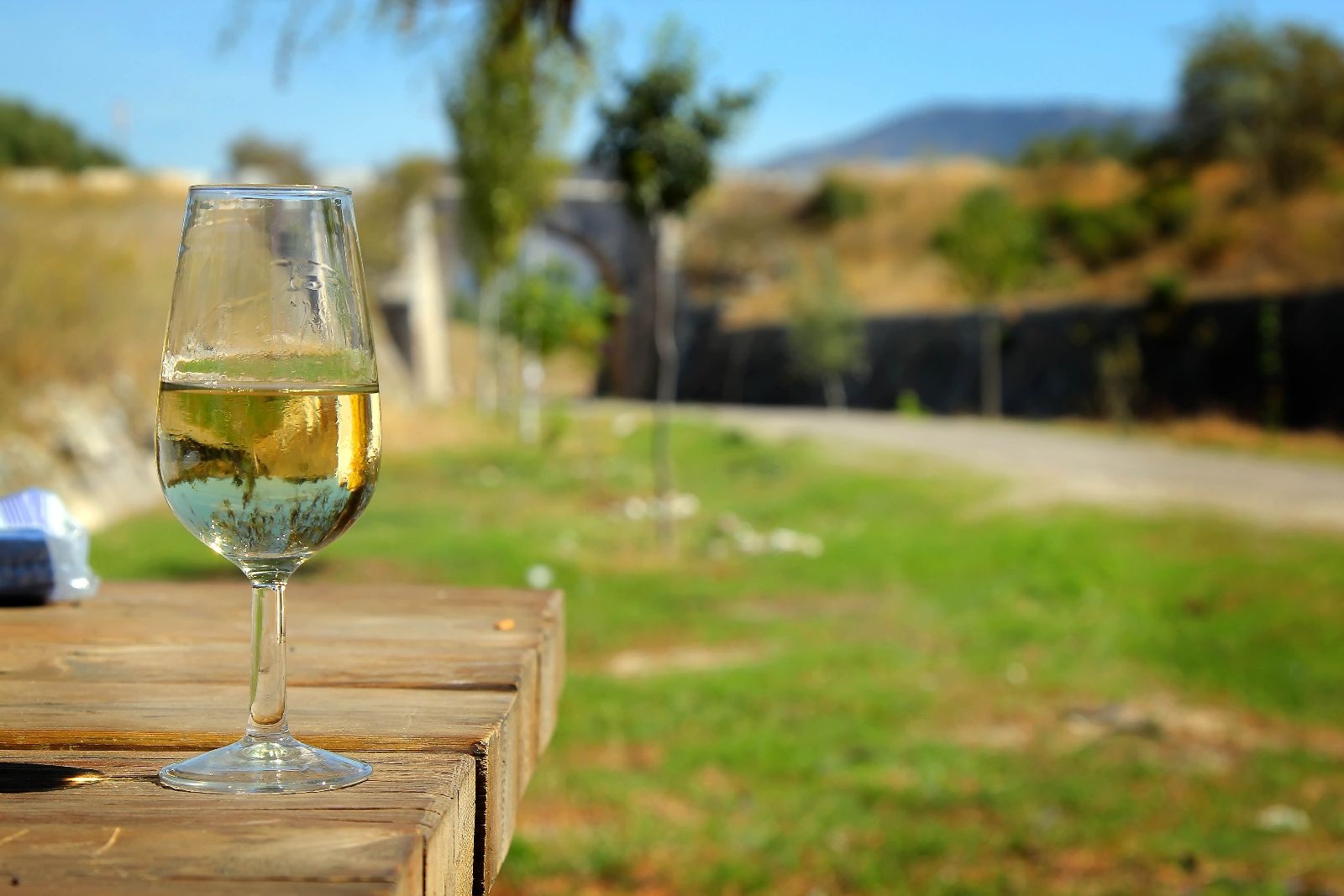 Ein Glas Wein aus Montilla-Moriles auf die Vía Verde del Aceite. ¡Salud!
