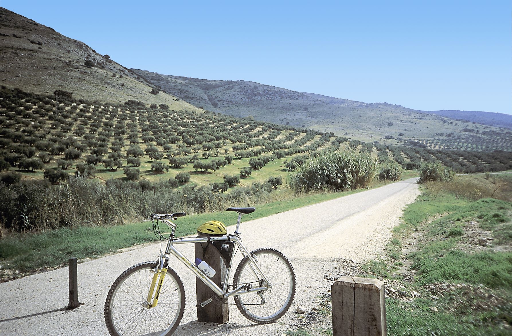Die Landschaft wirkt wie gekämmt. Entlang der Olivenhaine auf der Vía Verde del Aceite
