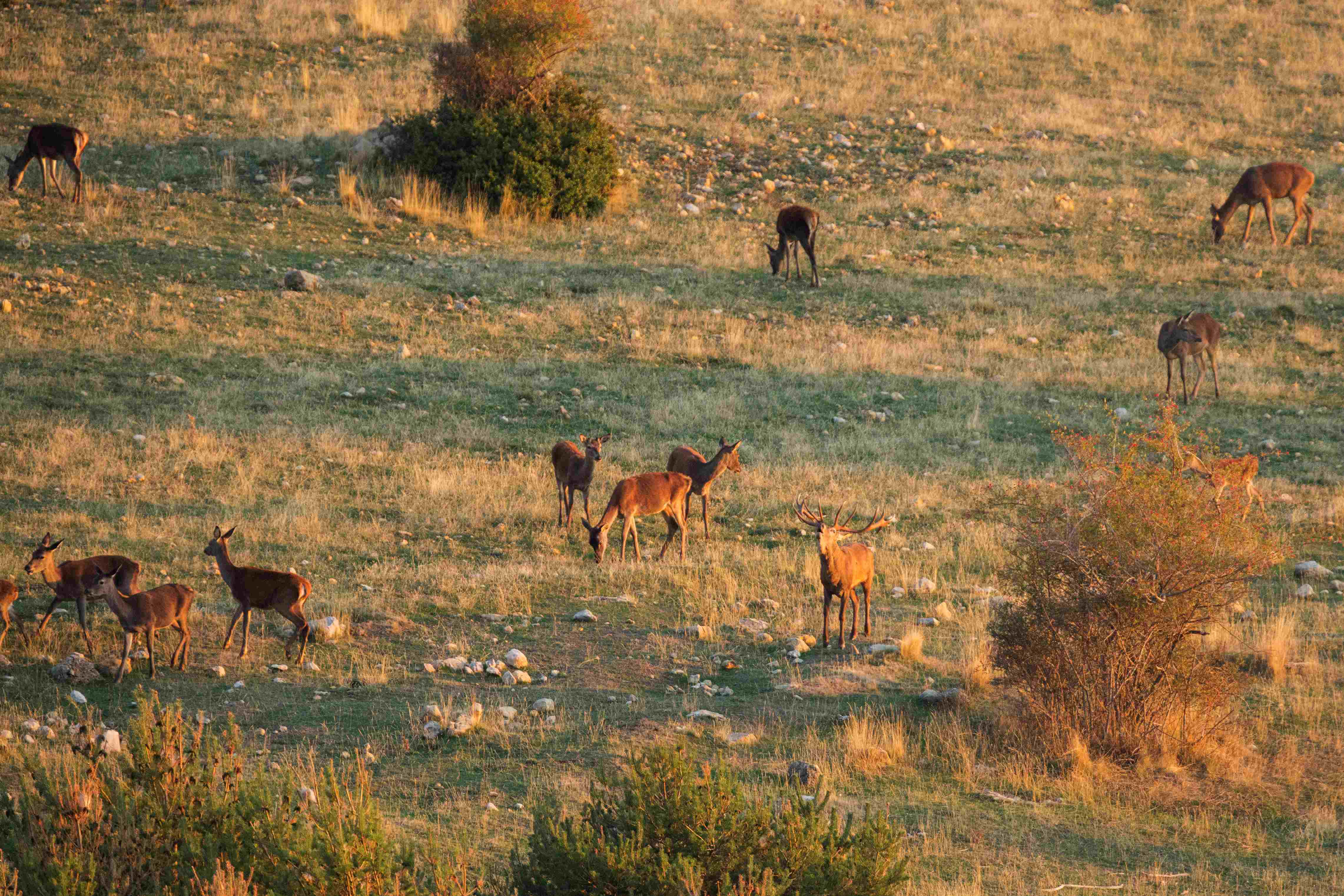  de la Diputació de Lleida. Oriol Clavera